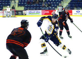 Sentinels take game two with shootout win