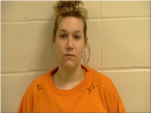 Guilty plea entered in Hallock murder case